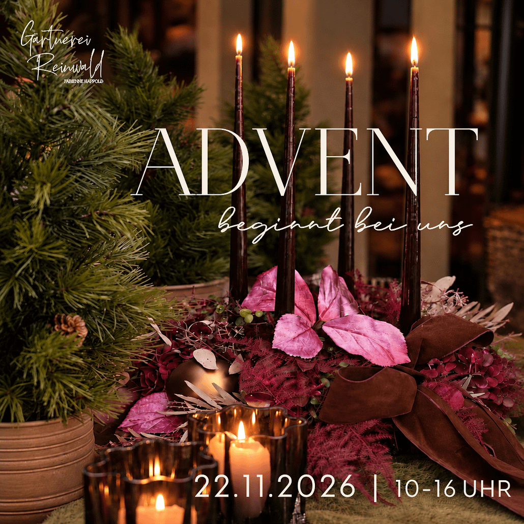 Adventsausstellung 2026 – Gärtnerei Reinwald Heilbronn dventskranz mit vier brennenden Kerzen und weihnachtlicher Floristik zur Adventsausstellung der Gärtnerei Reinwald am 22.11.2026