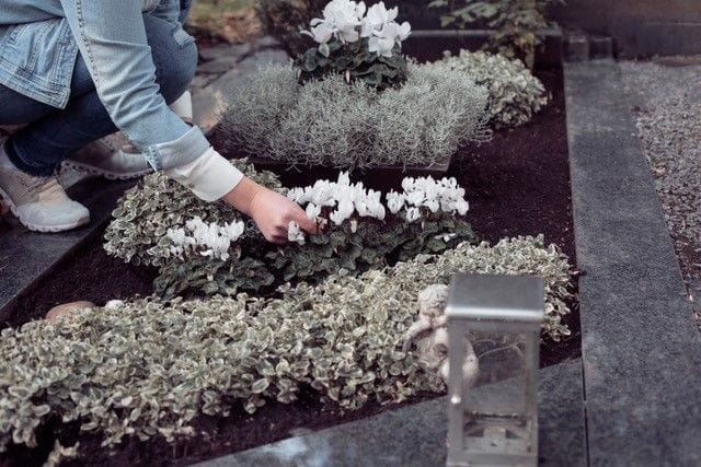 Beet Bepflanzung 2 Florales Arrangement von Gärtnerei Reinwald in Heilbronn